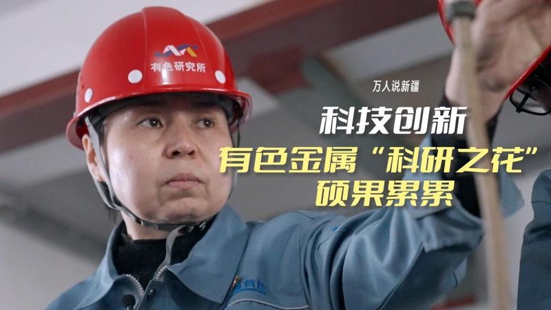 高新技术企业与专精特新：广东企业成长路径的两大关键